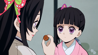 Kanao Tsuyuri Kimetsu No Yaiba Wikia Fandom