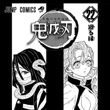 印刷可能 Kimetsu No Yaiba Book 22 無料ダウンロード 悪魔の写真