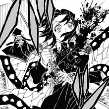 Shinobu Kocho Image Gallery Kimetsu No Yaiba Wikia Fandom