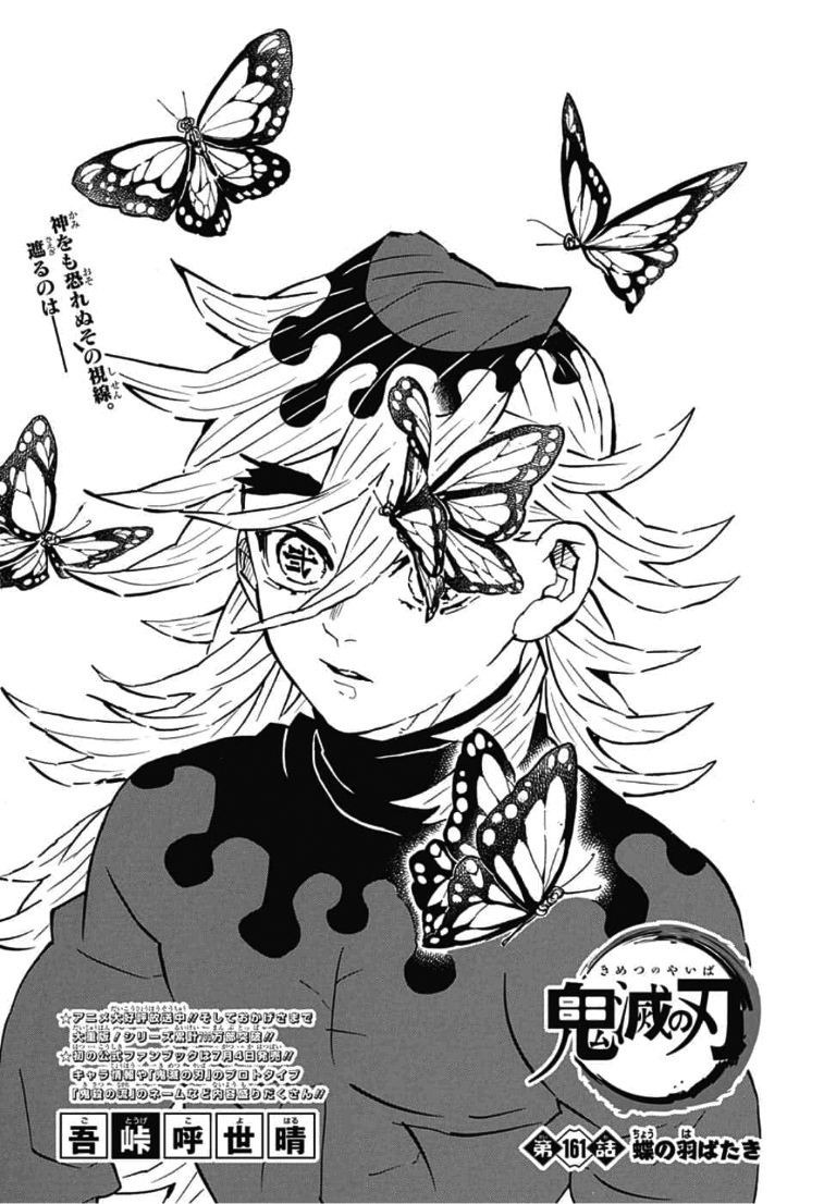 Chapter 161 Kimetsu No Yaiba Wikia Fandom