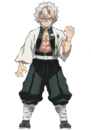 Sanemi Shinazugawa | Wiki Kimetsu no Yaiba | Fandom