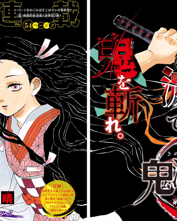 Chapter 1 Kimetsu No Yaiba Wikia Fandom