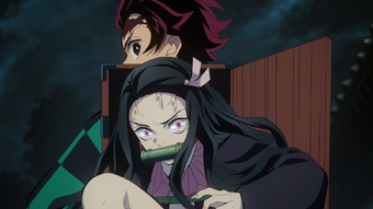 Tanjiro Kamado Relationships Kimetsu No Yaiba Wikia Fandom Tanjiro Kamado Relationships Kimetsu No Yaiba Wikia Fandom