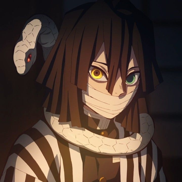 Obanai Iguro | Kimetsu no Yaiba Wiki | Fandom