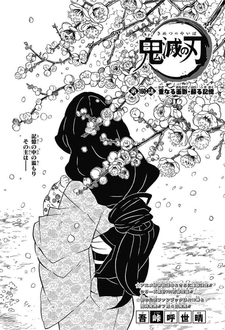 Chapter 160 Kimetsu No Yaiba Wikia Fandom