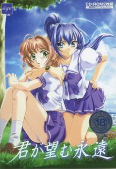 Kimi ga Nozomu Eien cover