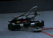Tempest split open