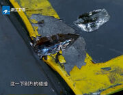 Flipper damage Crossfire