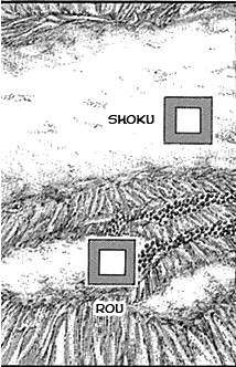 Rou and shoku