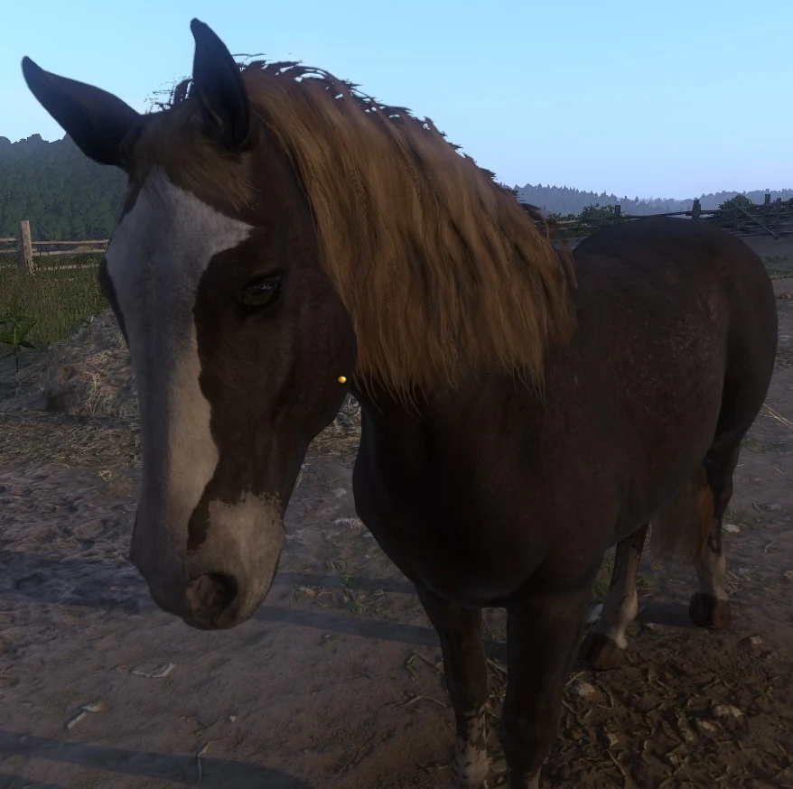 Kingdom Come Deliverance How To Get Horse attackpowerful