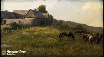 نیوهوف .  - Kingdom Come Deliverance