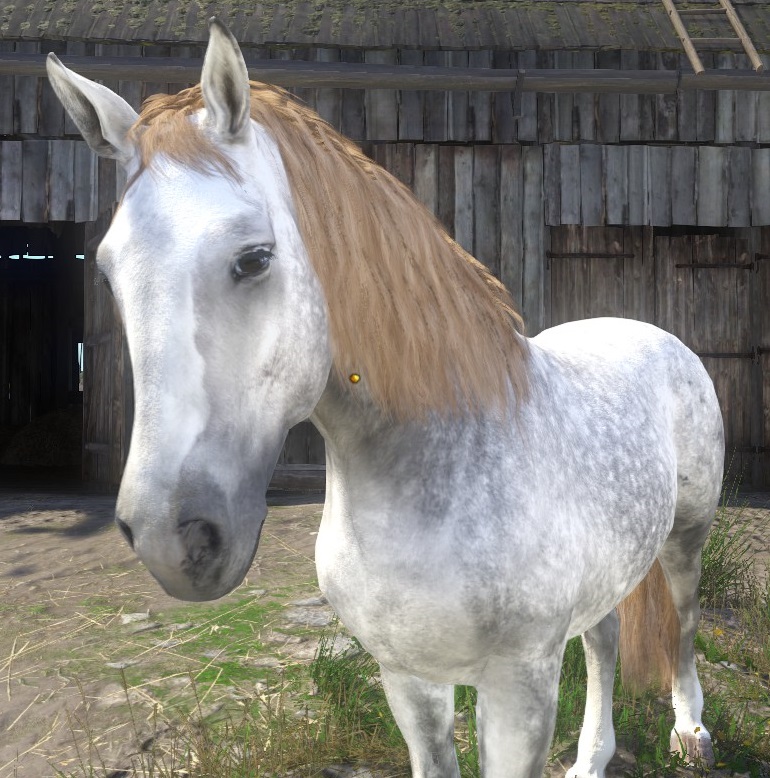 kingdom come deliverance horse kingdom come deliverance horse
