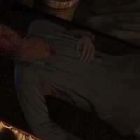 Insomniac Kingdom Come Deliverance Wiki Fandom