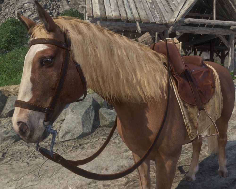 Kingdom come deliverance new horse