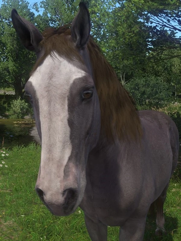 Tulpar Kingdom Come Deliverance Wiki Fandom