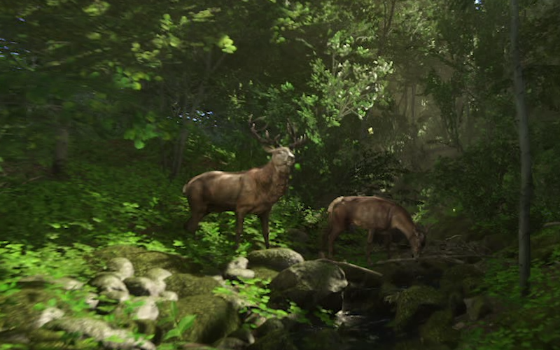 kingdom new lands deer