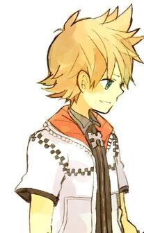 Roxas-and-Namine-roxas-and-namine-32352160-450-600