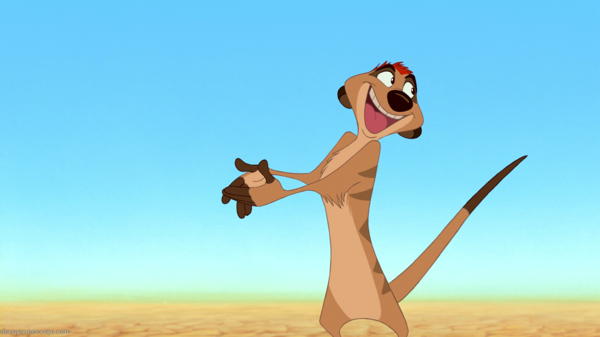 Who Is Timon In The New Lion King