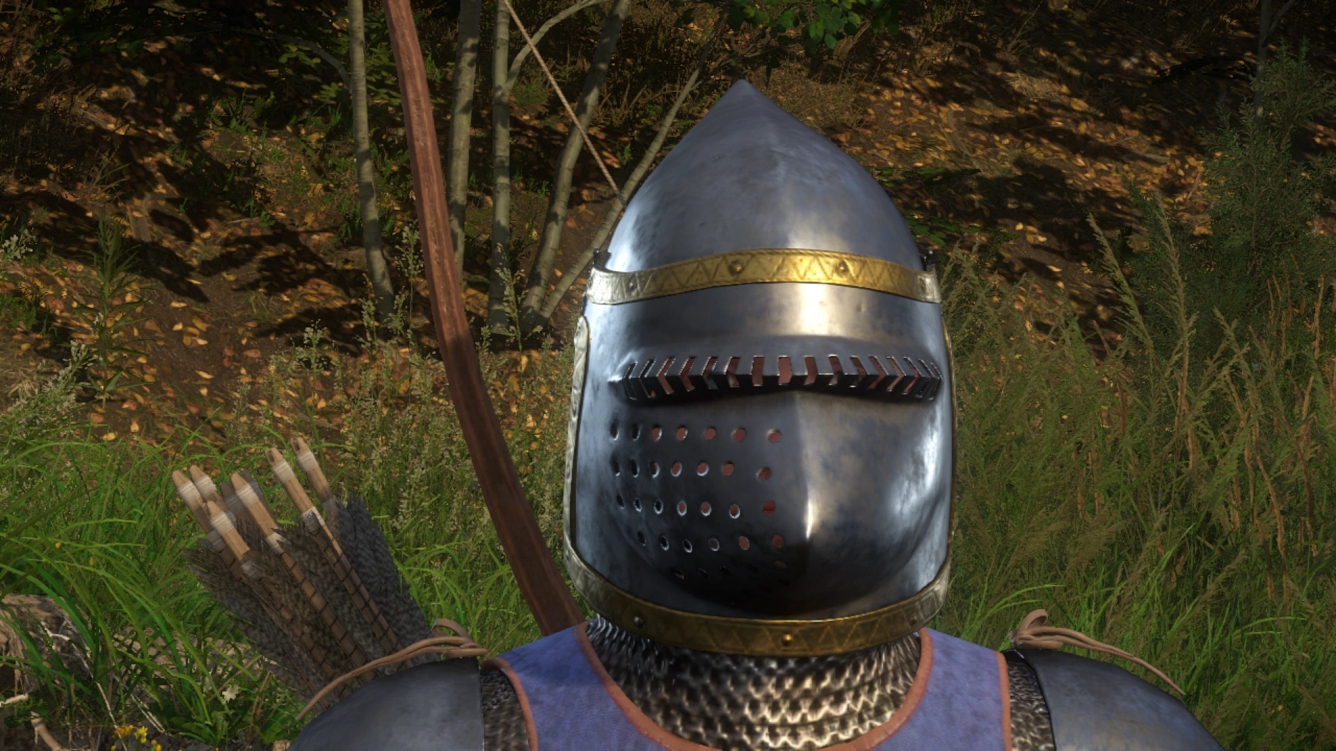 Шлем дома Зоулов Kingdom Come Deliverance Wiki Fandom