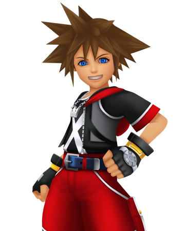 3dのソラ Kingdom Hearts Wiki Fandom