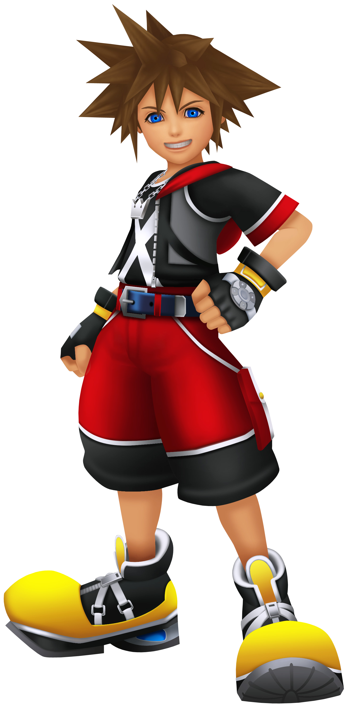 3dのソラ Kingdom Hearts Wiki Fandom