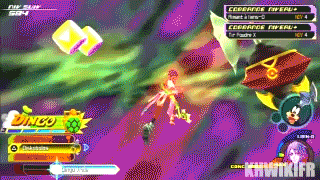 Dingo vrille KHBBS