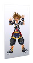 Sora carta