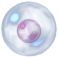 MP Orb KHII