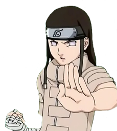 hyuuga neji. Hyuuga Neji (NARUTO)