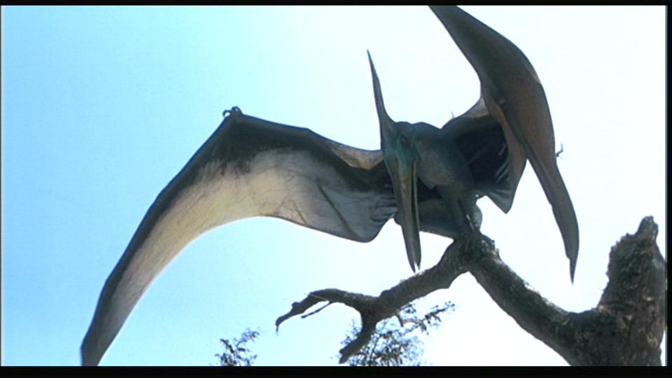 Pteranodon | Kingdom Hearts Fan Fiction | FANDOM powered by Wikia