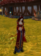 Blood Mage