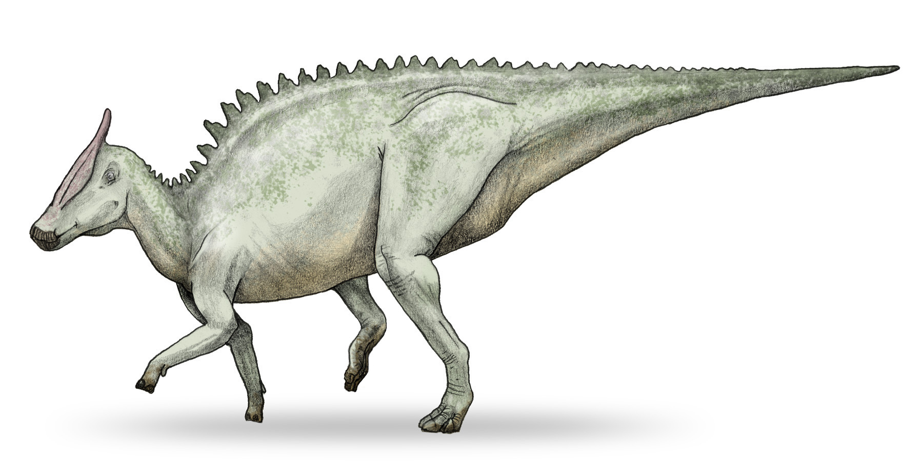 Saurolophus | King Kong Wiki | FANDOM powered by Wikia