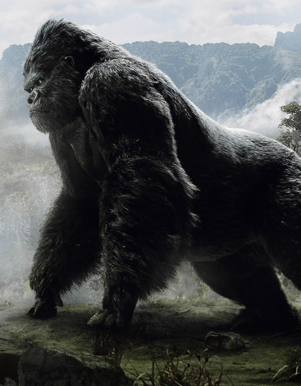 Megaprimatus Kong | Kingkongworld Wiki | FANDOM powered by Wikia
