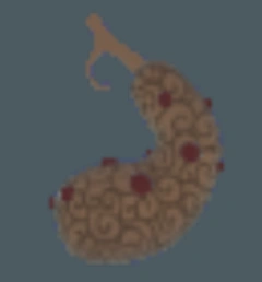 Horo Horo No Mi | King of Pirates Wiki | Fandom