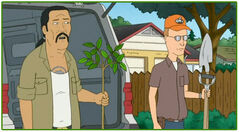 Koth trees
