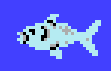 FishcloseupKQ5