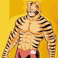 キン肉マンティガー キン肉マン Wiki Fandom