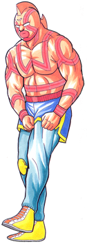 Super Phoenix