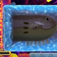 Barbar Kirby Wiki Fandom