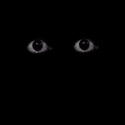 Eyes