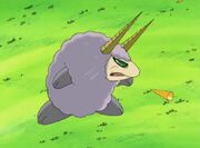 Amon2