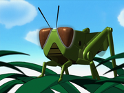 Grasshopper Eavesdropper 1