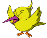 Tokkori