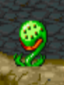 Z-Venus ManTrap
