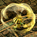 Amber Turtle CA10410 (Sora FC Monster)