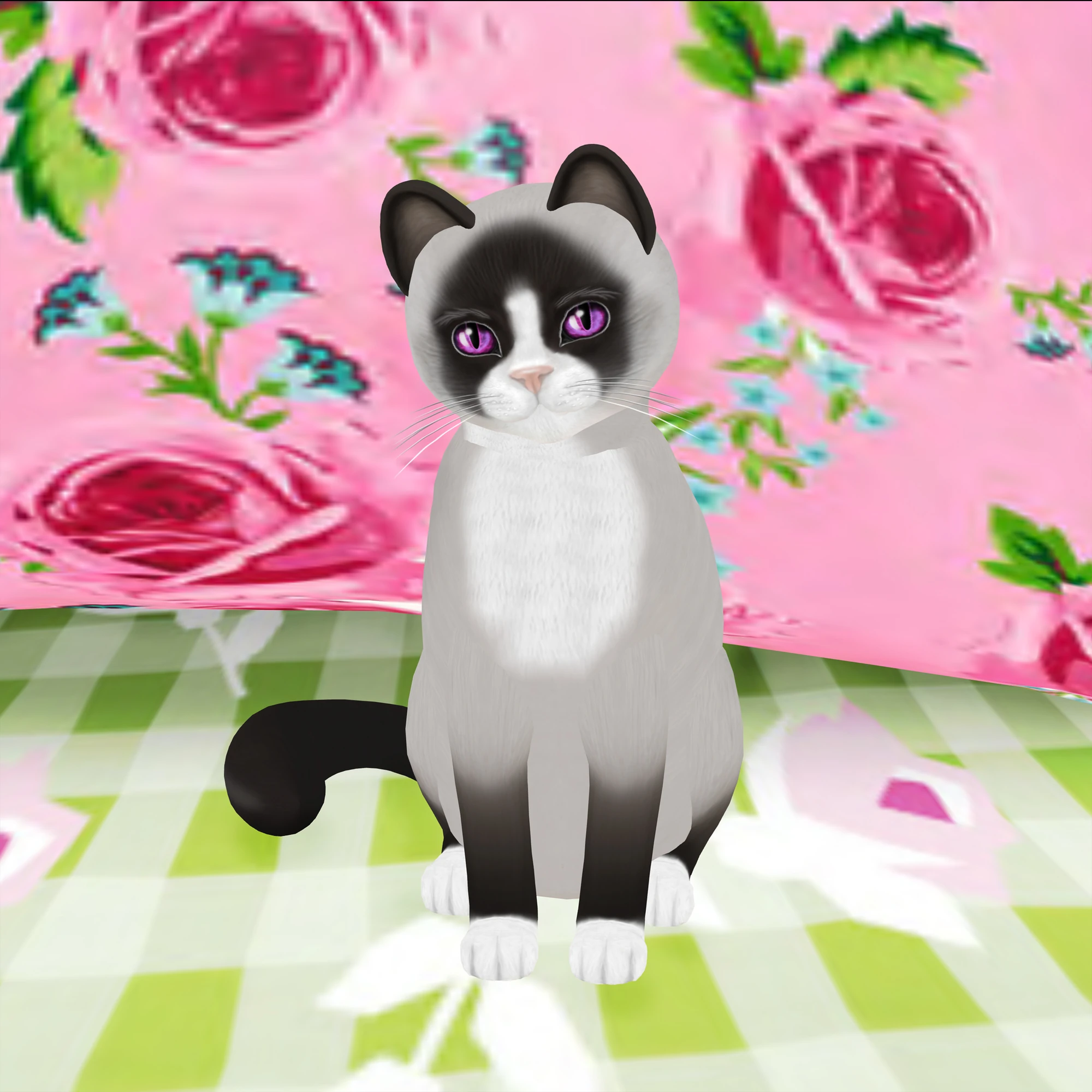 Snowshoe (breed) KittyCats! Breedables Wiki FANDOM powered by Wikia