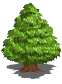 Epictreedebris last