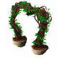 Arch grapevine last