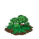 Artichoke last