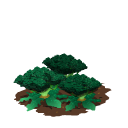 Broccoli last